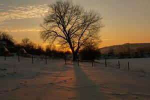 Frosty winter in Russia. Beautiful sunrise in Siberia.  Cold winter photo. photo