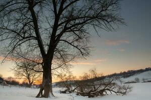 Frosty winter in Russia. Beautiful sunrise in Siberia.  Cold winter photo. photo