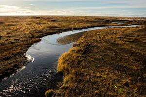 Picturesque landscape with green nature in Iceland photo