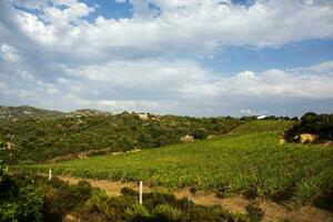 photo with beautiful landscape from the island of Sardinia, Italy