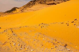 Landscape of sahara desert in Egypt. Conceptual for freedom, enjoying the journey. photo