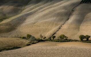 cosechado campos y prados paisaje en toscana, Italia. ondulado país paisaje a otoño puesta de sol. cultivable tierra Listo para el agrícola estación. foto