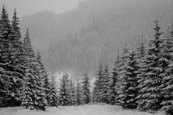 Panorama of the village in the winter mountains covered with snow. Winter landscape. The concept of freedom and solitude.