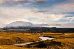 Picturesque landscape with green nature in Iceland photo