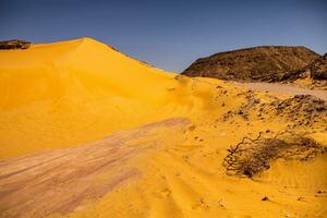 Landscape of sahara desert in Algeria, Africa photo