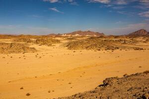 Landscape of sahara desert in Egypt. Conceptual for freedom, enjoying the journey. photo