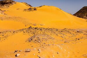 paisaje de Sáhara Desierto en Egipto. conceptual para libertad, disfrutando el viaje. foto