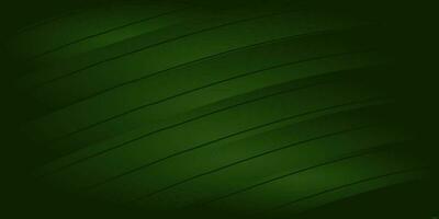 abstract green elegant corporate background vector