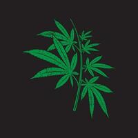 Marijuana leaf vector seamless . Cannabis engraving plant.