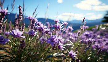 AI generated A vibrant lilac flower blossoms in the summer meadow generated by AI photo