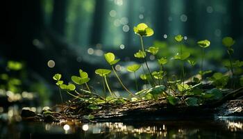 AI generated Green leaves reflect in the tranquil pond, showcasing nature beauty generated by AI photo