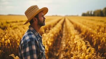 AI generated A farmer stands at the edge of a wheat field in the late evening sun. Generative AI photo