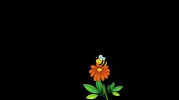 A Honey Bee Sits On A Flower On Alpha Channel video