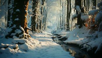 AI generated Tranquil winter landscape snow covered trees, frosty branches, and icy beauty generated by AI photo