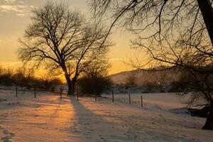 escarchado invierno en Rusia. hermosa amanecer en Siberia. frío invierno foto. foto