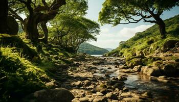 ai generado tranquilo escena verde bosque, fluido agua, majestuoso montañas, verano belleza generado por ai foto