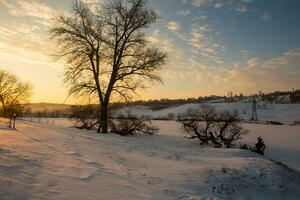 escarchado invierno en Rusia. hermosa amanecer en Siberia. frío invierno foto. foto