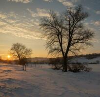 Frosty winter in Russia. Beautiful sunrise in Siberia.  Cold winter photo. photo