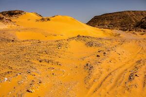 Landscape of sahara desert in Egypt. Conceptual for freedom, enjoying the journey. photo