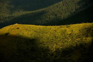 verano paisaje en el cárpato montañas. ver de el montaña pico hoverla. hermoso ucranio montaña cárpato hoverla. foto