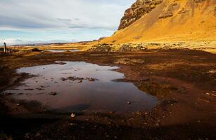 Picturesque landscape with green nature in Iceland photo