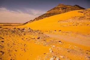 paisaje de Sáhara Desierto en Argelia, África foto