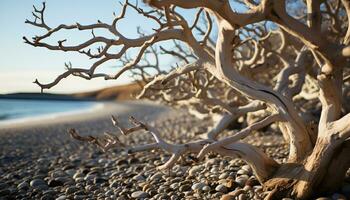 ai generado tranquilo línea costera, arenoso dunas, árbol ramas marco puesta de sol belleza generado por ai foto