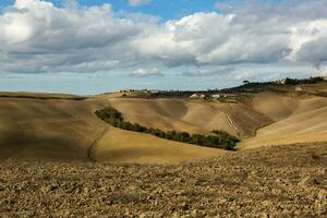 Arable land ready for the agricultural season. photo