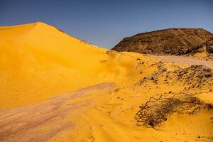 Landscape of sahara desert in Algeria, Africa photo