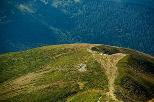 Summer landscape in the Carpathian mountains. View of the mountain peak Hoverla. Bautiful Ukrainian mountain Carpathian Hoverla. photo