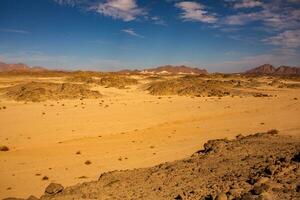 Landscape of sahara desert in Egypt. Conceptual for freedom, enjoying the journey. photo