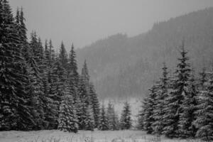 panorama de el pueblo en el invierno montañas cubierto con nieve. invierno paisaje. el concepto de libertad y soledad. foto