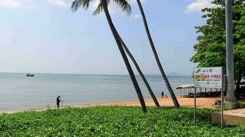 Pattaya chon buri Thailand 2018 tropisch Strand Wellen Wasser Sand Menschen Boot Palme Bäume und Wolkenkratzer im Jomtien Strand Pattaya Knall Lamung chon buri Thailand im Südostasien Asien. video