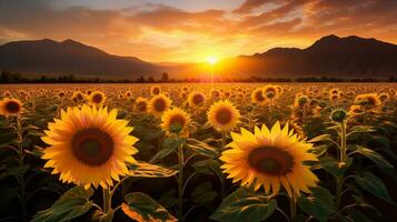 ai generado girasol campo en contra montaña fondo - ai generado foto