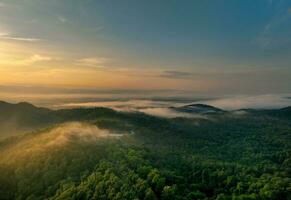 Beautiful green mountain landscape with morning sunrise sky and fog. Aerial view of green trees in tropical mountain forests and fog in winter. Nature scene of trees. Green environment background. photo