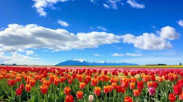 AI generated Spring Tulip Delight Under Blue Sky - AI Generated photo