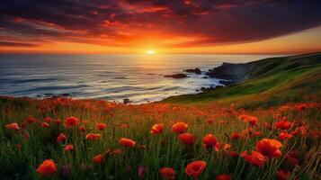 AI generated Oceanfront Poppy Field at Sunset - AI Generated photo