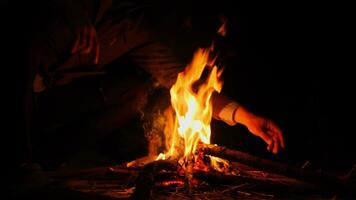 Feuerholz aufs Feuer legen. Camping im Lagerfeuer brennt in der Natur im Dunkeln. Feuer machen. sicherer Umgang mit Feuer im Wald. video