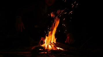 Feuerholz aufs Feuer legen. Camping im Lagerfeuer brennt in der Natur im Dunkeln. Feuer machen. sicherer Umgang mit Feuer im Wald. video