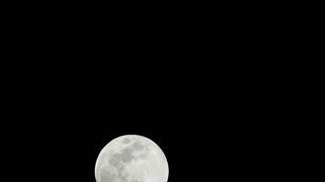 timelapse da lua, lapso de tempo de ações - ascensão da lua cheia no céu escuro da natureza, noite. lapso de tempo do disco da lua cheia com luz da lua no céu escuro à noite. imagens de vídeo gratuitas de alta qualidade ou timelapse video