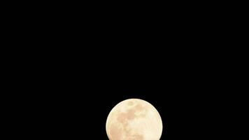 lapso de tiempo de la luna, lapso de tiempo de stock - subida de la luna llena en el cielo de la naturaleza oscura, la noche. Lapso de tiempo de disco de luna llena con luz de luna en el cielo negro oscuro de la noche. secuencias de video gratuitas de alta calidad o timelapse