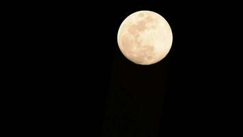 timelapse di luna, stock time lapse - luna piena sorge nel cielo di natura oscura, notte. lasso di tempo del disco di luna piena con la luna che si illumina nel cielo nero scuro di notte. riprese video o timelapse gratuiti di alta qualità