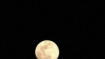 timelapse de la lune, laps de temps de stock - montée de la pleine lune dans le ciel sombre de la nature, la nuit. laps de temps de disque de pleine lune avec la lune s'allume dans le ciel noir de nuit. séquences vidéo gratuites de haute qualité ou timelapse video