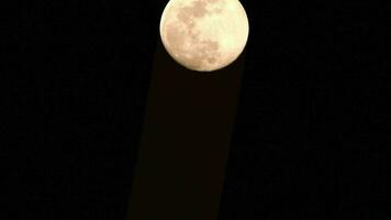 timelapse de la lune, laps de temps de stock - montée de la pleine lune dans le ciel sombre de la nature, la nuit. laps de temps de disque de pleine lune avec la lune s'allume dans le ciel noir de nuit. séquences vidéo gratuites de haute qualité ou timelapse video