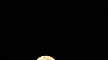 Moon Timelapse, Stock time lapse - Full moon rise in dark nature sky, night time. Full moon disk time lapse with moon light up in night dark black sky. High-quality free video footage or timelapse