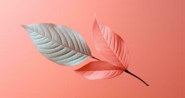 AI generated pink leaf with a light green background photo