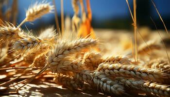 AI generated Rural scene yellow wheat growth, ripe barley, organic grain harvest generated by AI photo