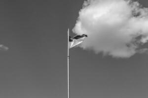 Photography on theme national Ukrainian flag in peaceful sky photo