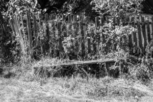 Photography on theme old wooden bench overgrown with grass photo