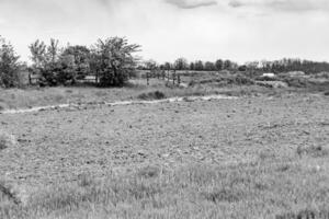 Photography on theme big empty farm field for organic harvest photo